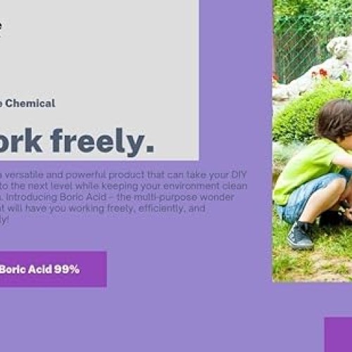 Pure Boric Acid Powder 99% - 2LB Can - Uses: Home and Garden, Swim...