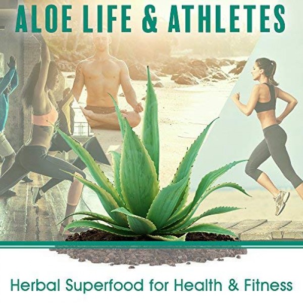 Aloe Life – Skin Gel & Herbs Ultimate Skin Treatment, 99% Certifie...