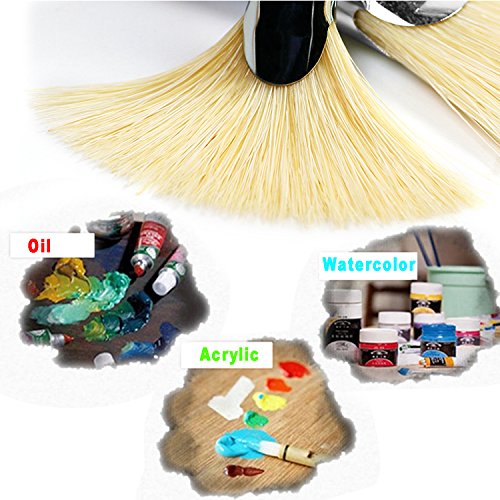 Amagic Fan Brush Set- Artist Soft Anti-Shedding Hog Bristle Paint ...