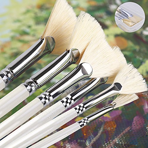 Amagic Fan Brush Set- Artist Soft Anti-Shedding Hog Bristle Paint ...