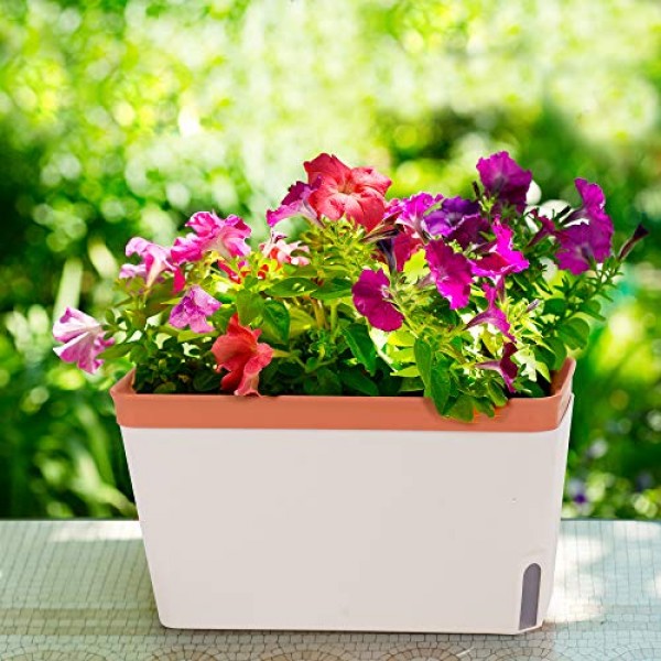 Windowsill Herb Planter Box, Set of 3, Rectangular Self Watering I...