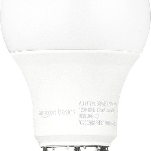 Amazon Basics A19 Dusk to Dawn Sensor LED Outdoor Light Bulb, 60W Equivalent, 9W, Daylight White, 5000K, E26 Base, 10,000 Hours, 6 Count (Pack of 1)