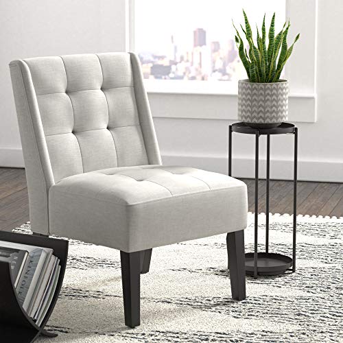 Amazon Basics Plant Stand, Black