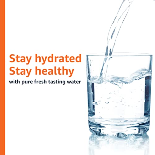 Amazon Basics Replacement Water Filters for Pitchers, Compatible w...