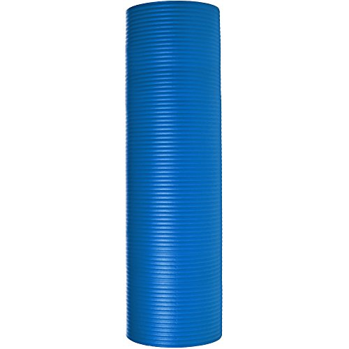 AmazonBasics Extra Thick Exercise Yoga Gym Floor Mat with Carrying...