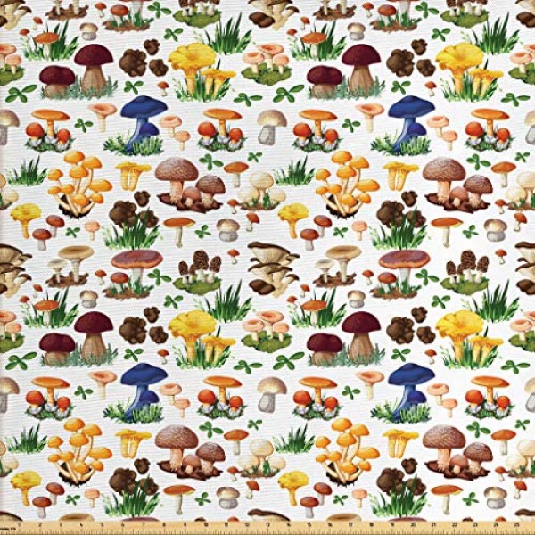 Ambesonne Mushroom Fabric by The Yard, Pattern with Types of Mushr...