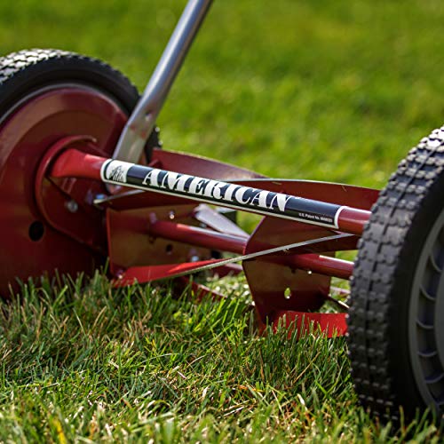 American Lawn Mower Company 1304-14 14-Inch 5-Blade Push Reel Lawn...