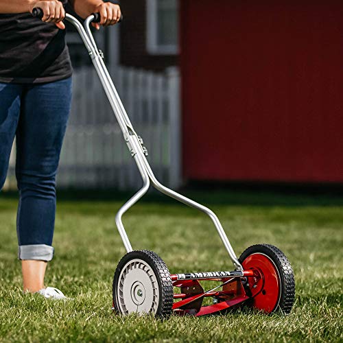 American Lawn Mower Company 1304-14 14-Inch 5-Blade Push Reel Lawn...