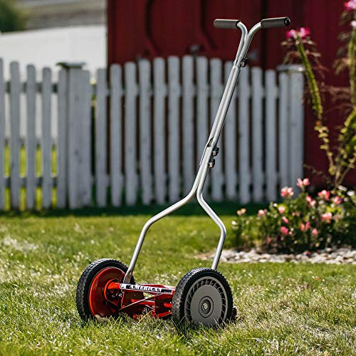American Lawn Mower Company 1304-14 14-Inch 5-Blade Push Reel Lawn...