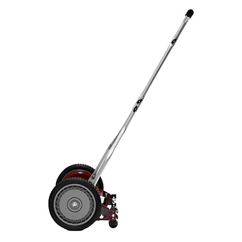 American Lawn Mower Company 1304-14 14-Inch 5-Blade Push Reel Lawn...