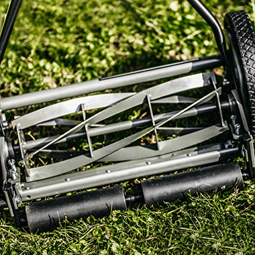 American Lawn Mower Company 1415-16 16-Inch 5-Blade Push Reel Lawn...