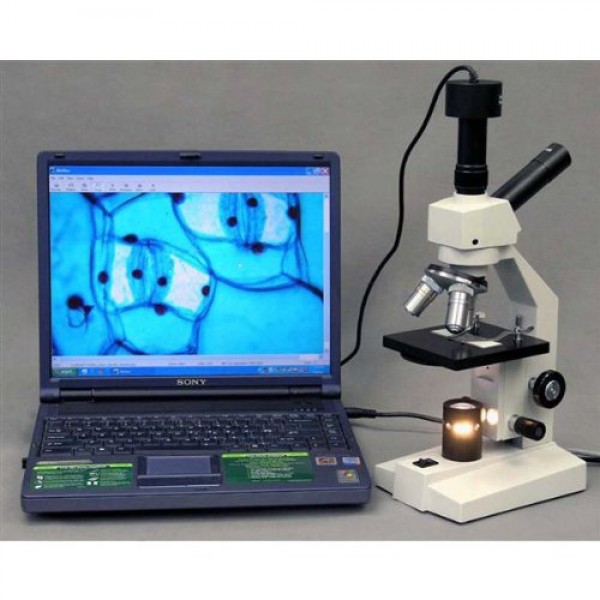 AmScope D120B-MS Dual-View Compound Monocular Microscope, WF10x an...