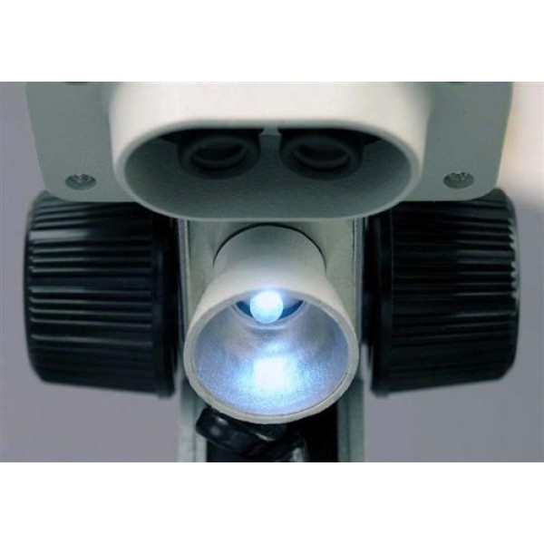 AMSCOPE-KIDS 100X-LED Portable Binocular Stereo Microscope, WF5X a...