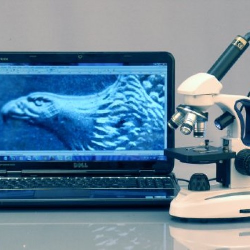 AmScope M158C-2L-E1 Digital Cordless Compound Monocular Microscope...