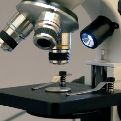 AmScope M158C-2L-PB10-WM Cordless Compound Monocular Microscope, W...