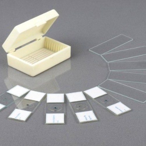 AmScope M158C-2L-PB10-WM Cordless Compound Monocular Microscope, W...