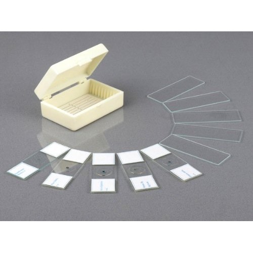 AmScope M158C-2L-PB10-WM Cordless Compound Monocular Microscope, W...