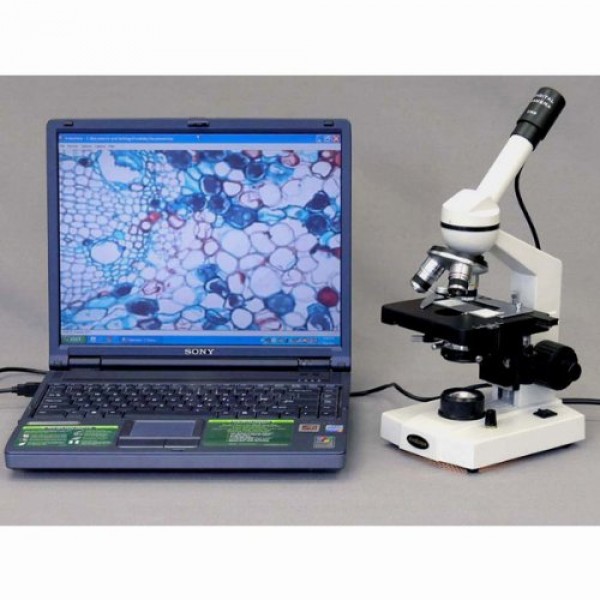 AmScope M600B Compound Monocular Microscope, WF10x and WF20x Eyepi...