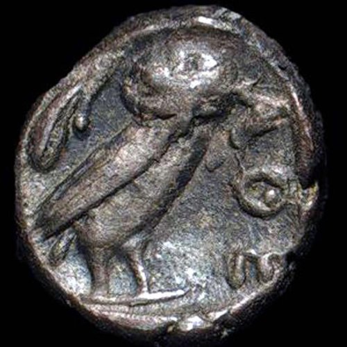 AmScope SE303-PX Binocular Stereo Microscope, WF5x and WF10x Eyepi...