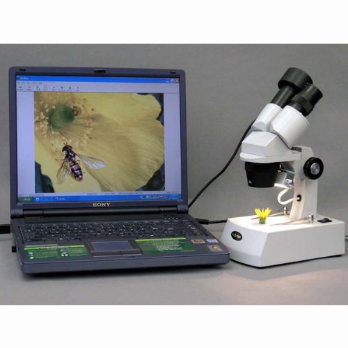 AmScope SE305-AZ-P Digital Binocular Stereo Microscope, WF10x and ...