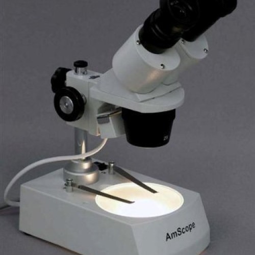 AmScope SE305R-PX-MT Digital Forward-Mounted Binocular Stereo Micr...