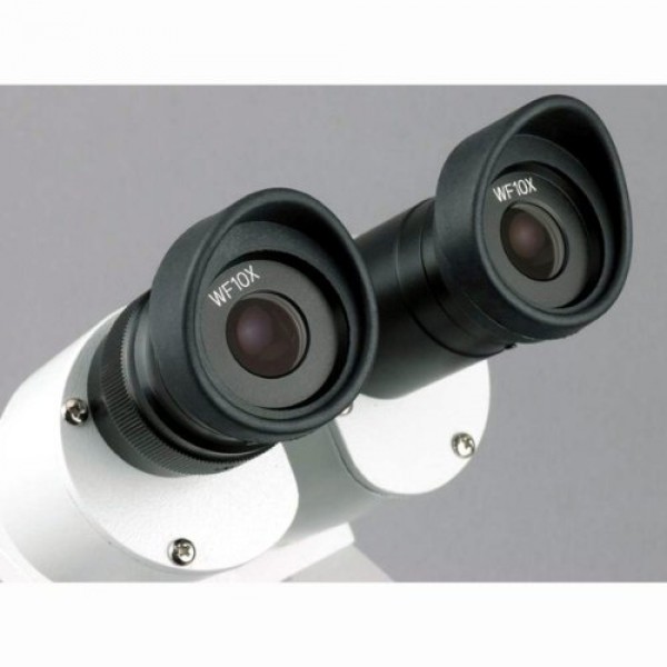 AmScope SE305R-PZ-P Digital Forward-Mounted Binocular Stereo Micro...