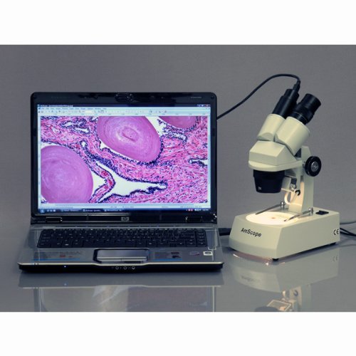 AmScope SE306-AZ-E2 Digital Binocular Stereo Microscope, WF10x and...