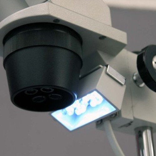 AmScope SE306R-PY-LED Forward-Mounted Binocular Stereo Microscope,...
