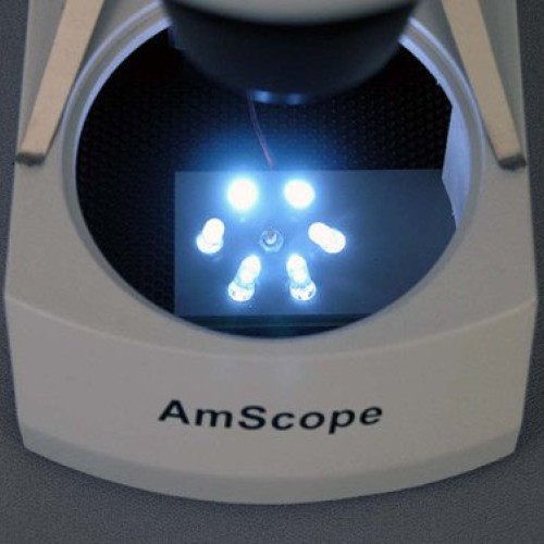 AmScope SE306R-PY-LED Forward-Mounted Binocular Stereo Microscope,...