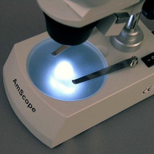 AmScope SE306R-PY-LED Forward-Mounted Binocular Stereo Microscope,...