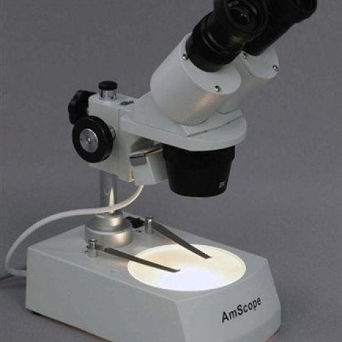 AmScope SE306R-PZ-MT Digital Forward-Mounted Binocular Stereo Micr...