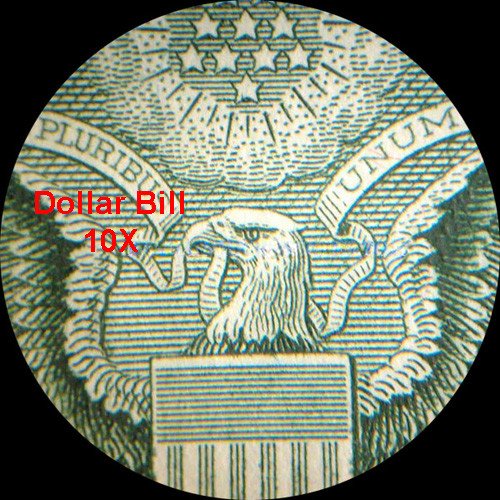 AmScope SE306R-PZ-MT Digital Forward-Mounted Binocular Stereo Micr...