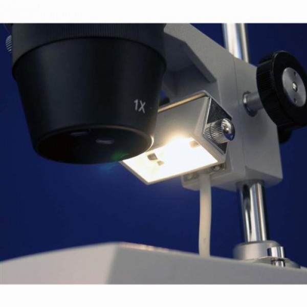 AmScope SE307-PZ Binocular Stereo Microscope, WF10x and WF20x Eyep...