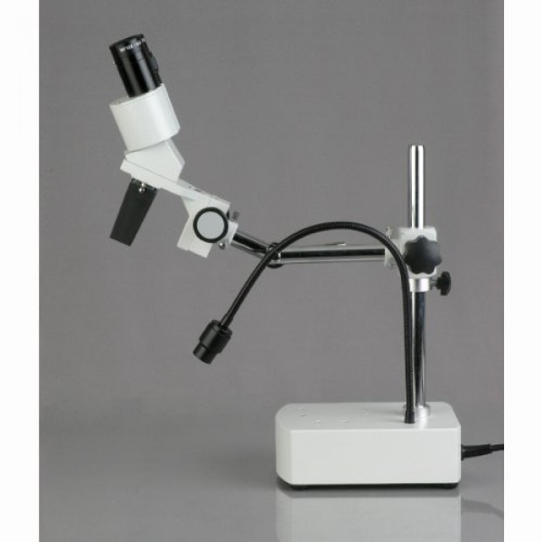 AmScope SE400 Professional Binocular Stereo Microscope, WF10x Eyep...
