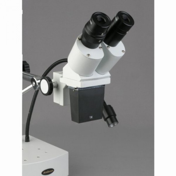 AmScope SE400-Y Professional Binocular Stereo Microscope, WF10x an...