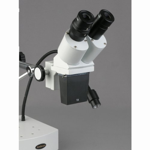 AmScope SE400-Z Professional Binocular Stereo Microscope, WF10x an...