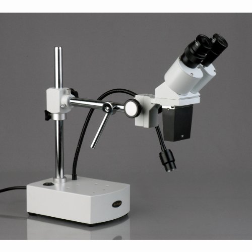 AmScope SE400X Professional Binocular Stereo Microscope, WF5x and ...
