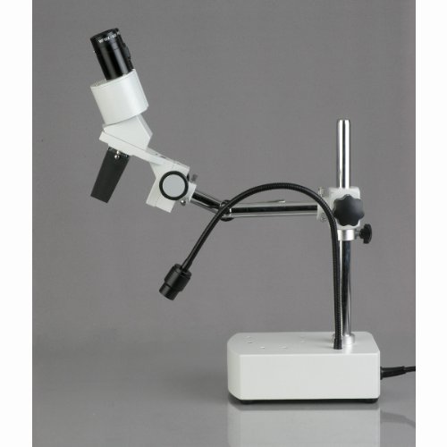 AmScope SE400X Professional Binocular Stereo Microscope, WF5x and ...
