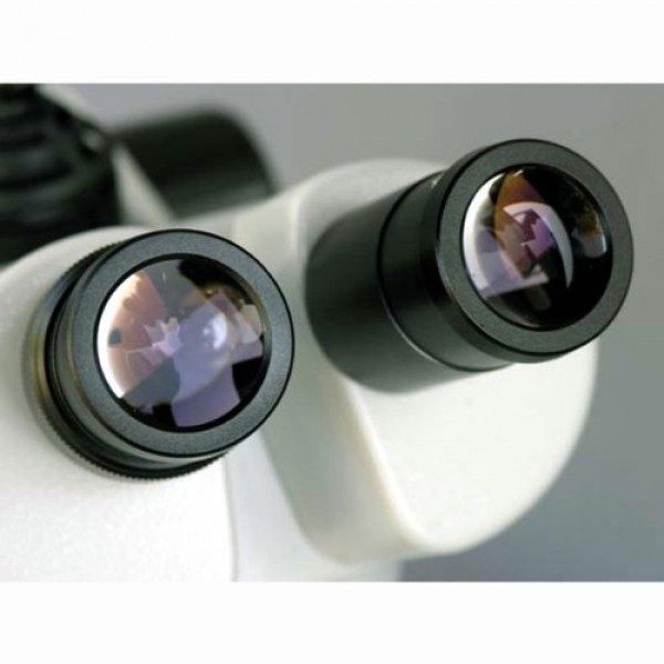 AmScope SW-2B24 Binocular Microscope, WH10x Eyepieces, 20X and 40X...