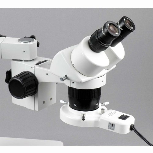 AmScope SW-3B13-FRL Binocular Stereo Microscope, WH10x Eyepieces, ...