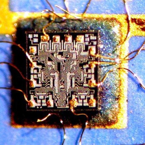 AmScope SW-3B24X-FRL Binocular Stereo Microscope, WH10x Eyepieces,...