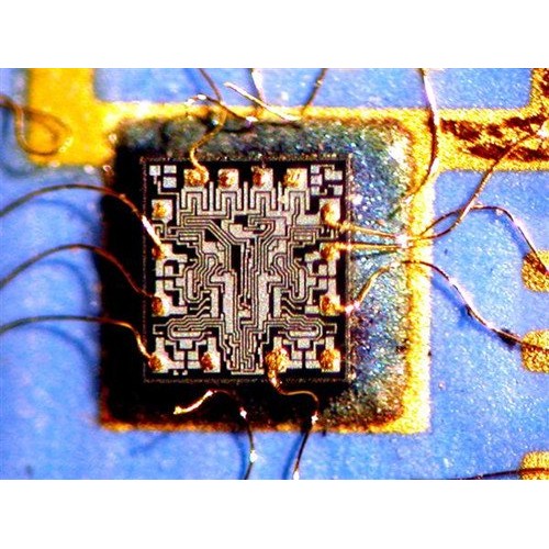 AmScope SW-3B24X-FRL Binocular Stereo Microscope, WH10x Eyepieces,...