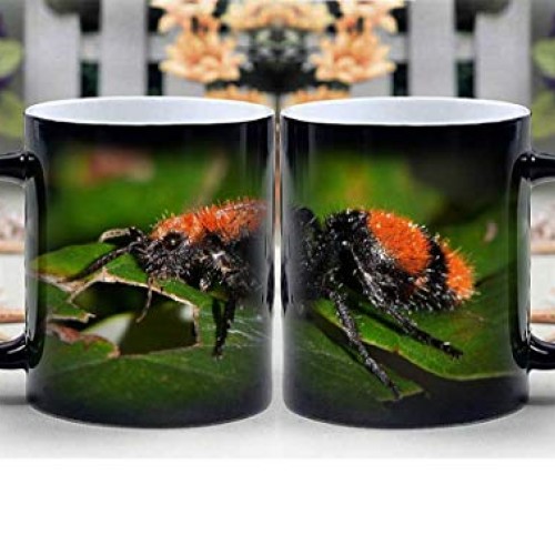 Amymami Personalized Gifts Heat Changing Magic Coffee Mug - Wasp V...