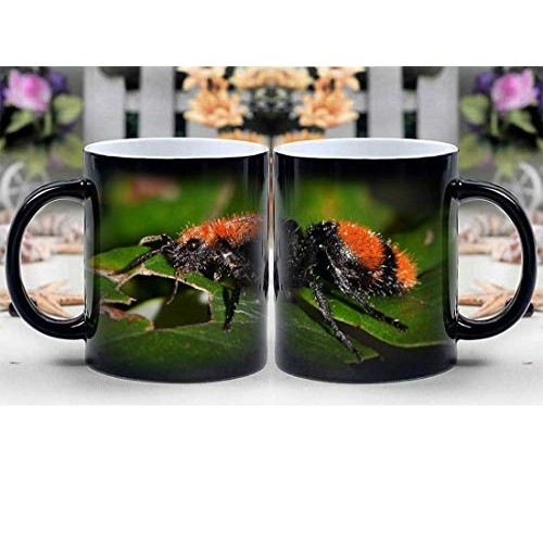 Amymami Personalized Gifts Heat Changing Magic Coffee Mug - Wasp V...