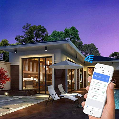 Amysen Smart Plug, Wi-Fi Outlet Socket Works with Alexa and Google...