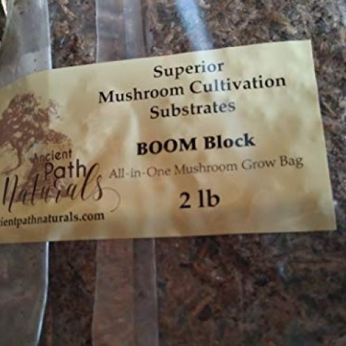 2lb Boom! Sterile Mushroom Spawn BagsReady to Grow, Just add Spore...