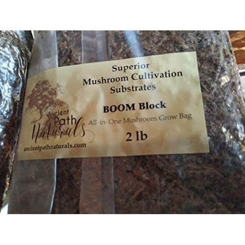 2lb Boom! Sterile Mushroom Spawn BagsReady to Grow, Just add Spore...