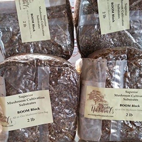 2lb Boom! Sterile Mushroom Spawn BagsReady to Grow, Just add Spore...