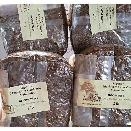2lb Boom! Sterile Mushroom Spawn BagsReady to Grow, Just add Spore...