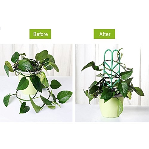 Aniann Garden Trellis for Mini Climbing Plants, Leaf Shape Potted ...